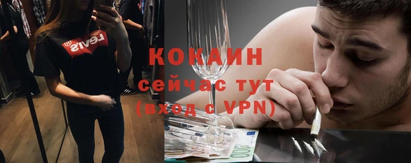 крисы Медногорск