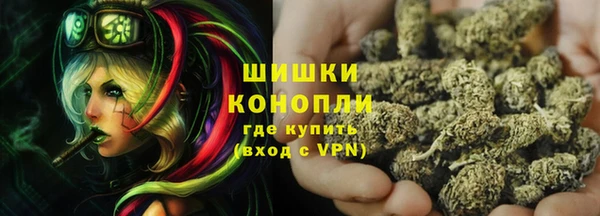 крисы Медногорск
