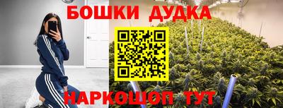 ешки Гай