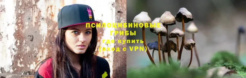 Псилоцибиновые грибы MAGIC MUSHROOMS  Ишим 