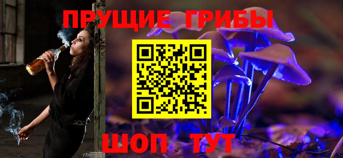 Псилоцибиновые грибы GOLDEN TEACHER Ишим