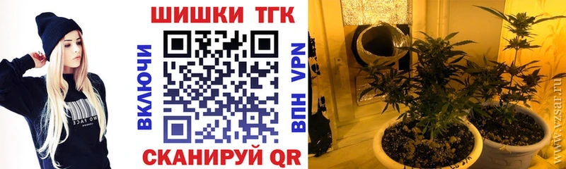 Конопля семена  Ишим 